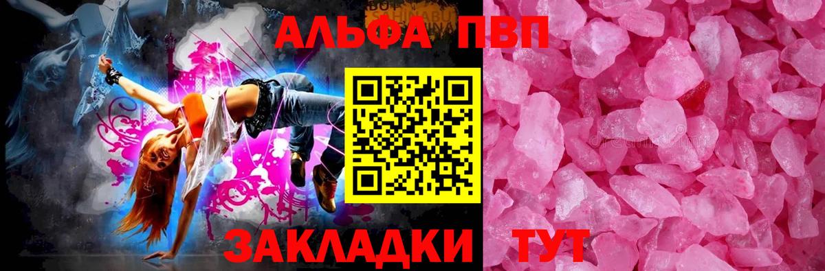 Alfa_PVP СК КРИС Майкоп