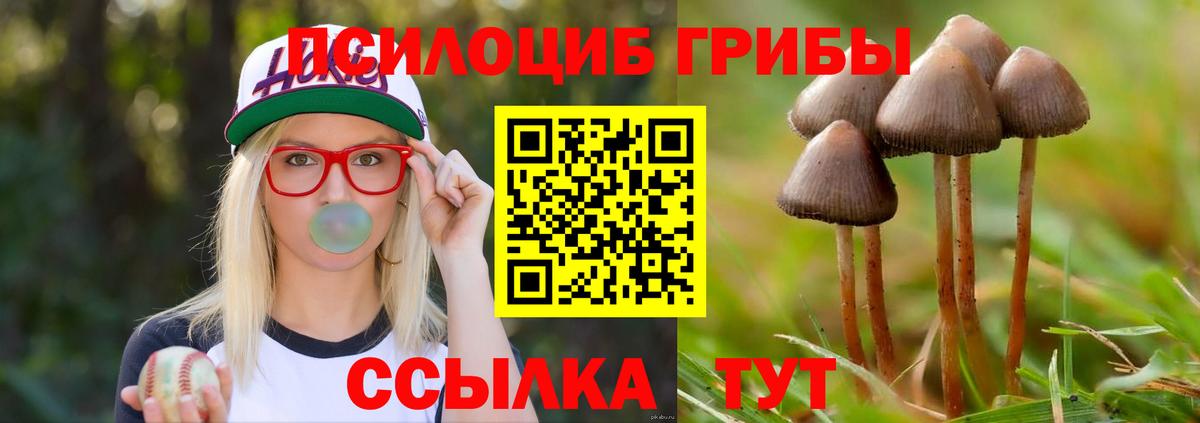 что такое   Псилоцибиновые грибы прущие грибы  Вход с VPN  Майкоп 
